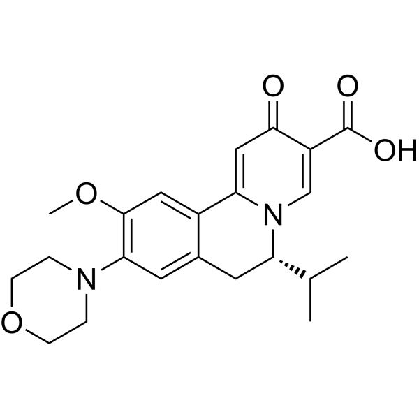 HBV-IN-44